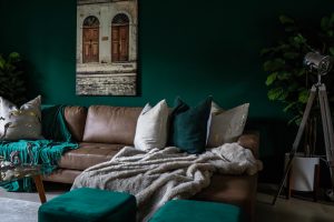 devon-janse-van-rensburg-Ff1EIg5xJ9s-unsplash