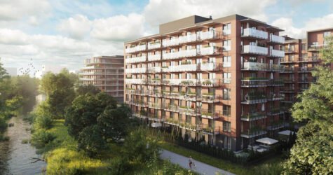Wyspa Solna