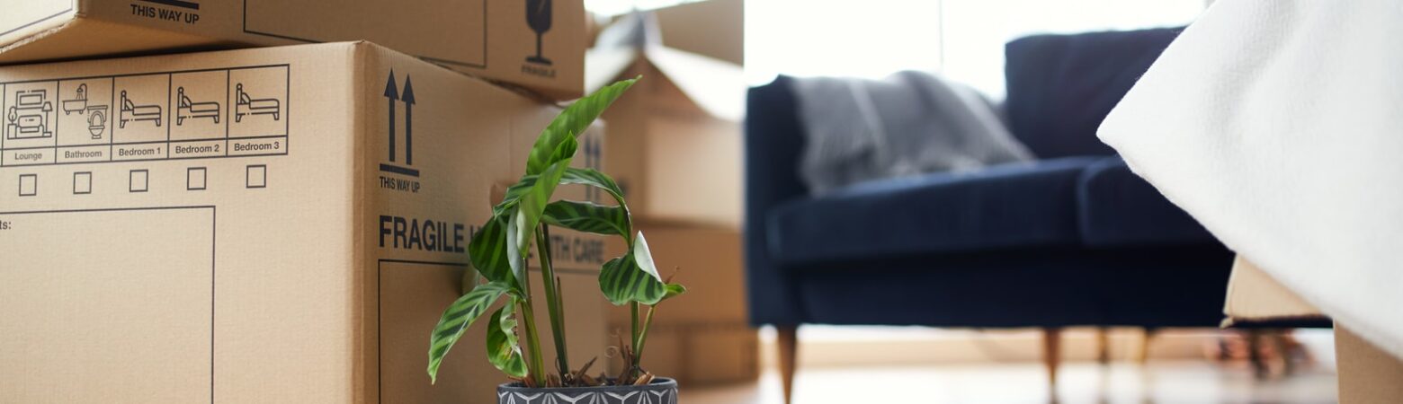 Przeprowadzka do nowego mieszkania - rady organizacyjne