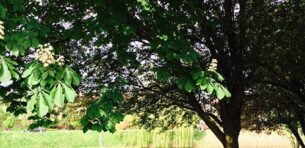 Osiedle Nowe Włochy