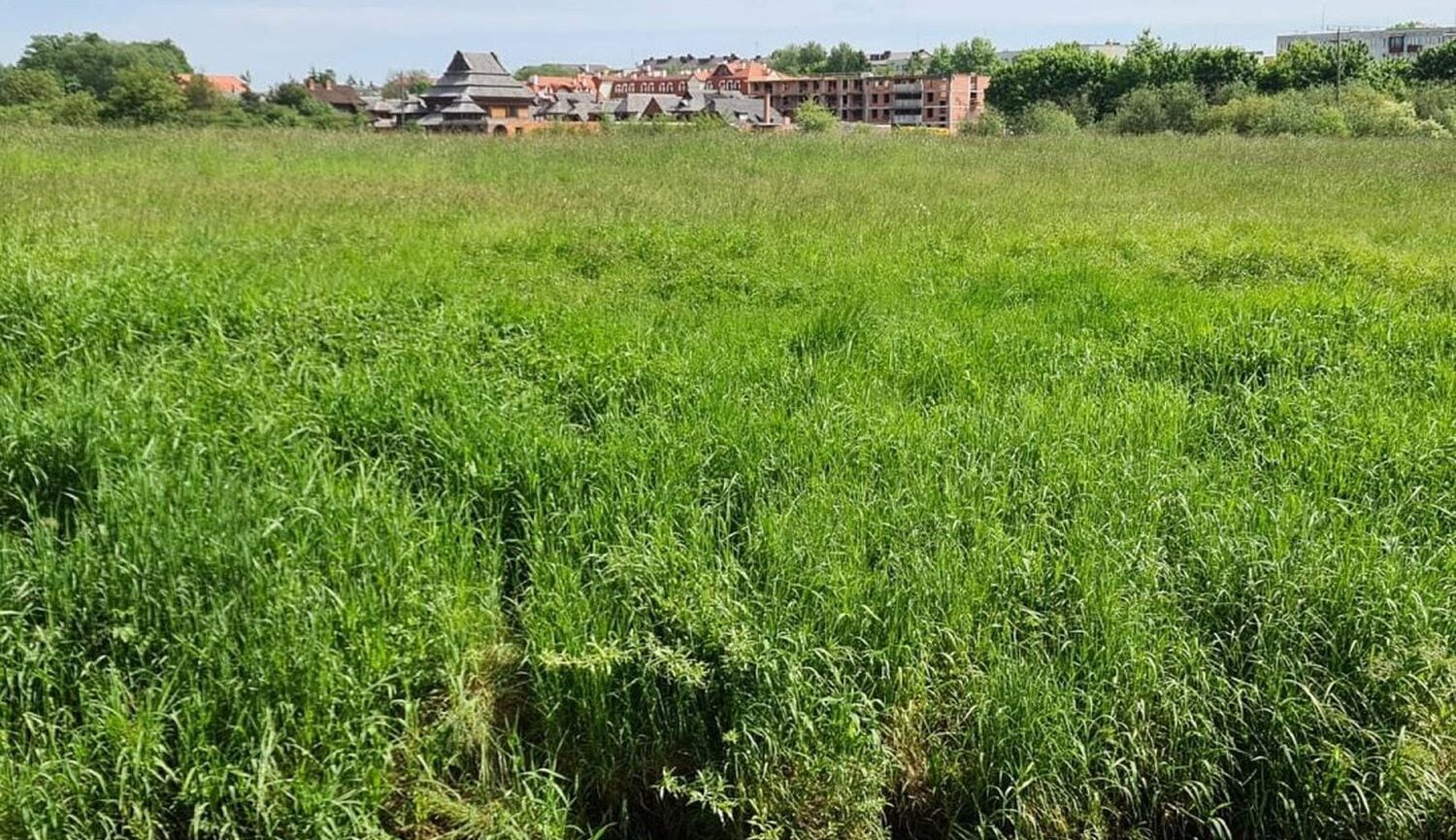 Miasteczko Na Szlaku Kultur