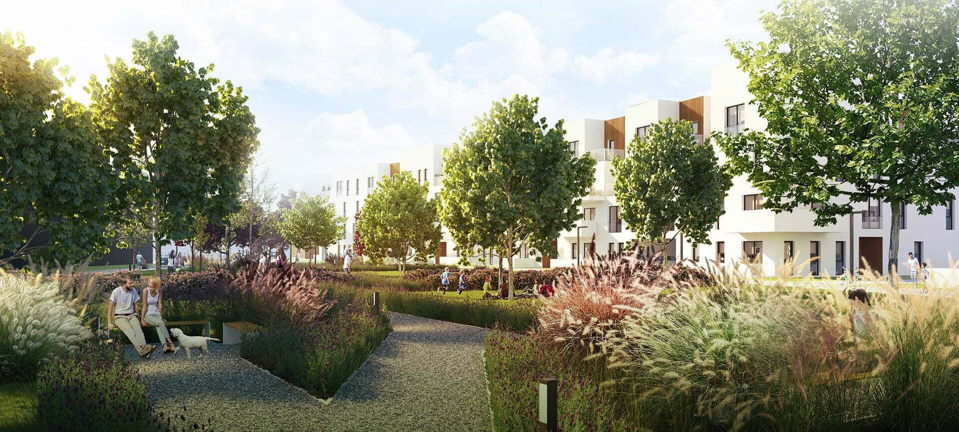 Bacciarellego 54 – etap 2