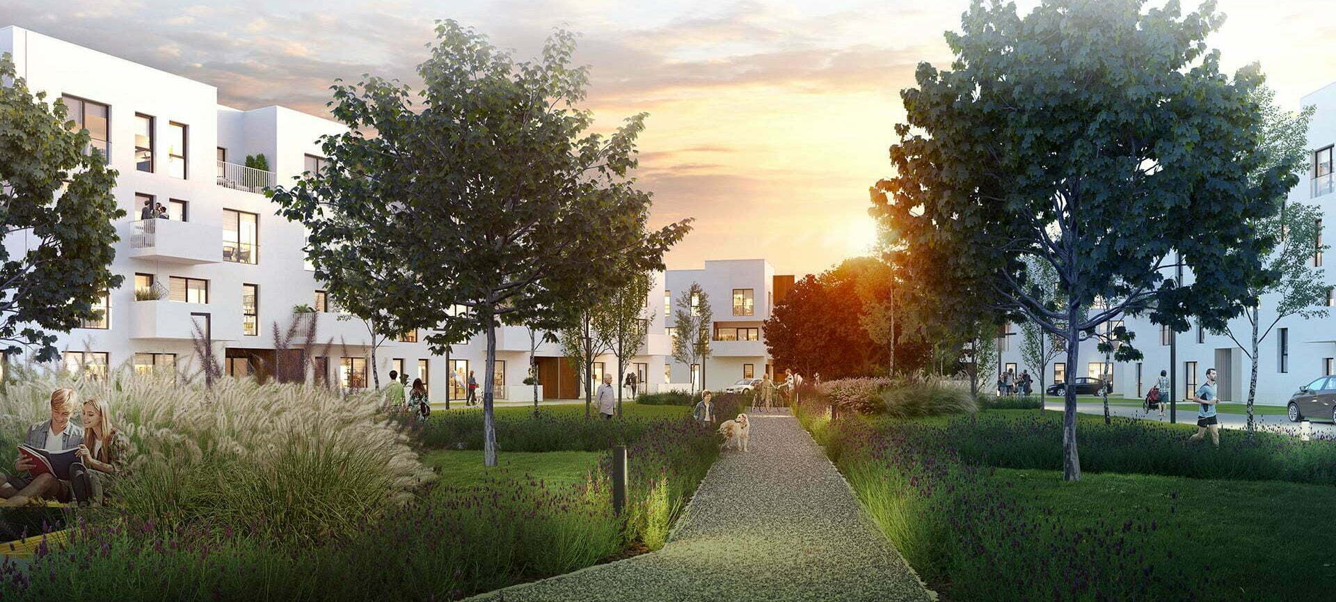 Bacciarellego 54 – etap 2