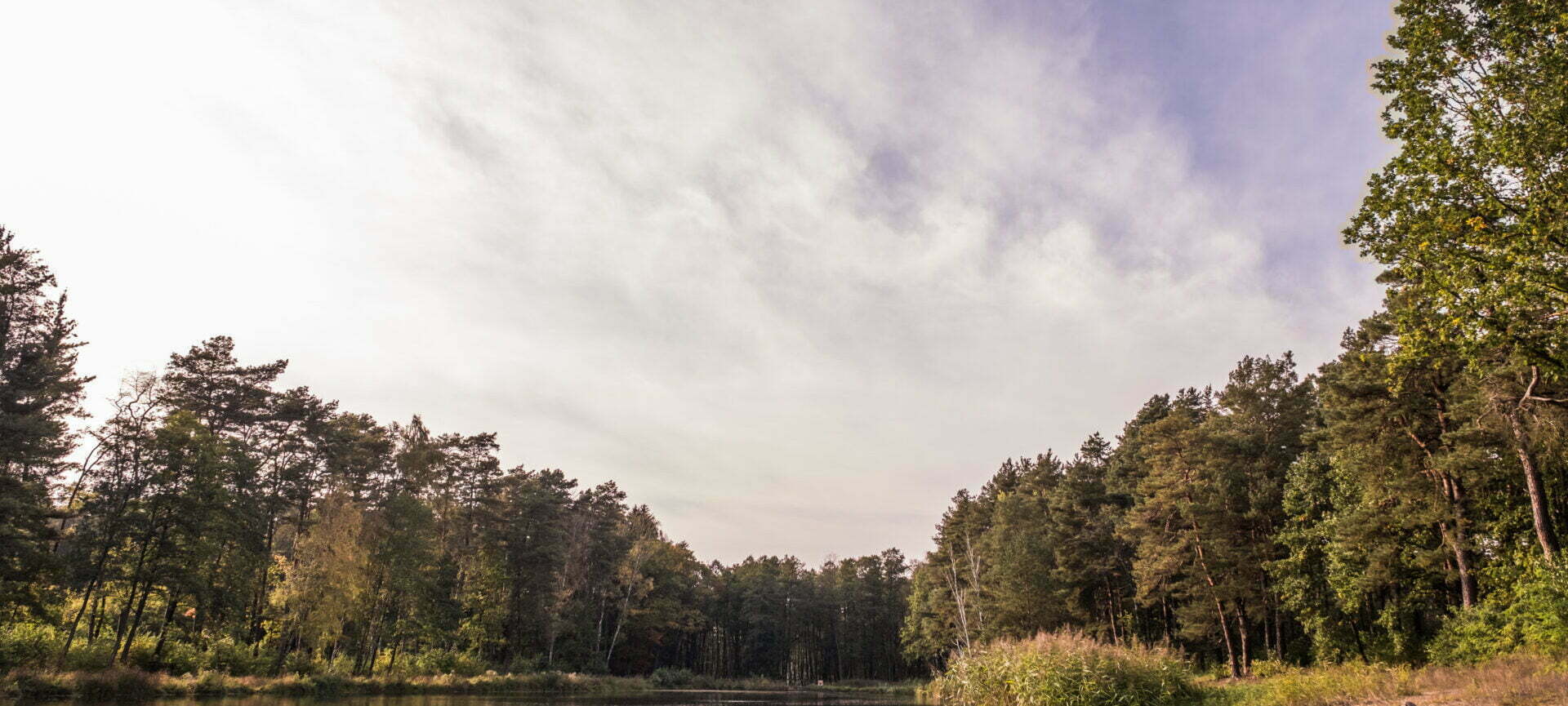 Park Grotniki etap III