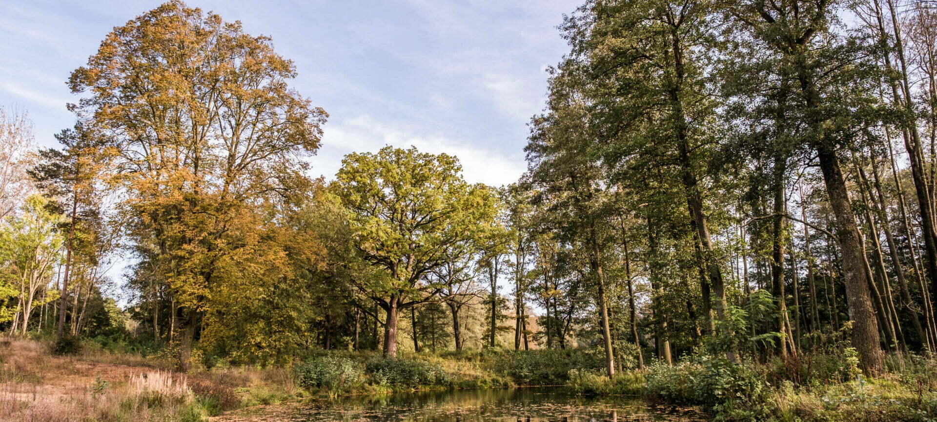 Park Grotniki etap III