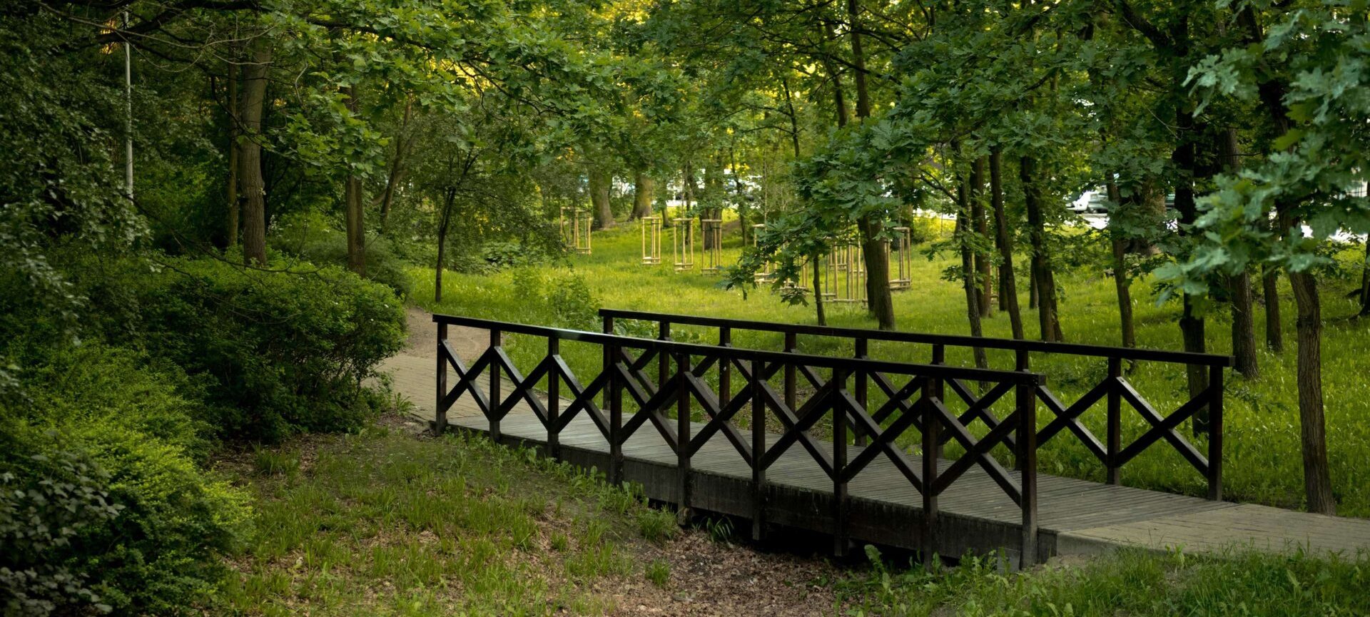 Bliżej Gwiazd na Mehoffera