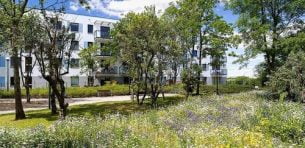 Wolne Miasto (etap VI)