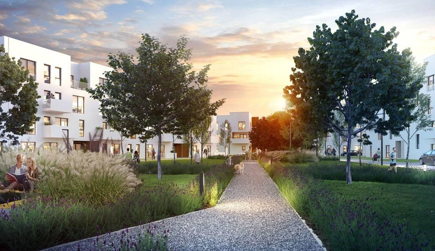 Bacciarellego 54 – etap 3