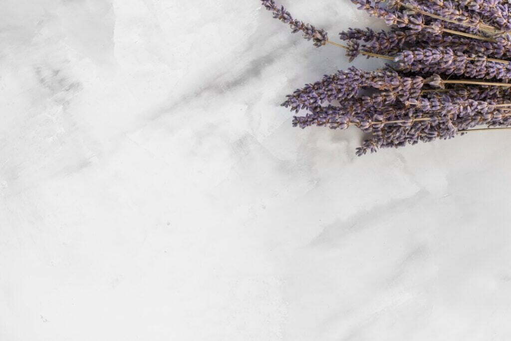 dana-devolk-x2cNcfz_xXU-unsplash