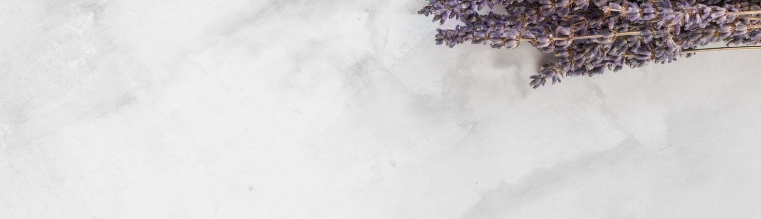 dana-devolk-x2cNcfz_xXU-unsplash