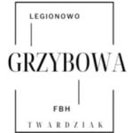 Firma Budowlano – Handlowa Emilian Twardziak