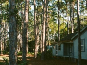 Budowa domu w lesie wady i zalety