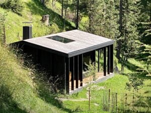 Budowa domu w lesie wady i zalety