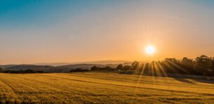 Odrolnienie działki - co trzeba o tym wiedzieć?