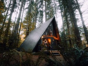 Budowa domu w lesie wady i zalety