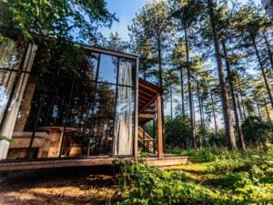 Budowa domu w lesie wady i zalety