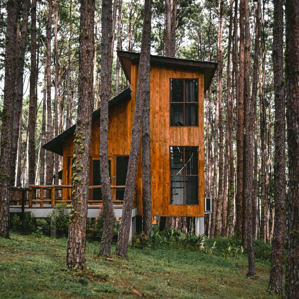 Budowa domu w lesie wady i zalety