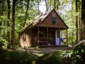 Budowa domu w lesie wady i zalety