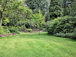 pankaj-shah-1ff_i7jO-4g-unsplash