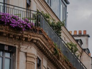 Co to jest prospekt informacyjny i czemu służy?