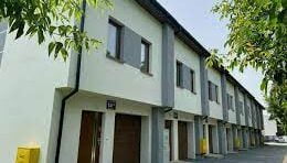 Kobyłka Natolińska