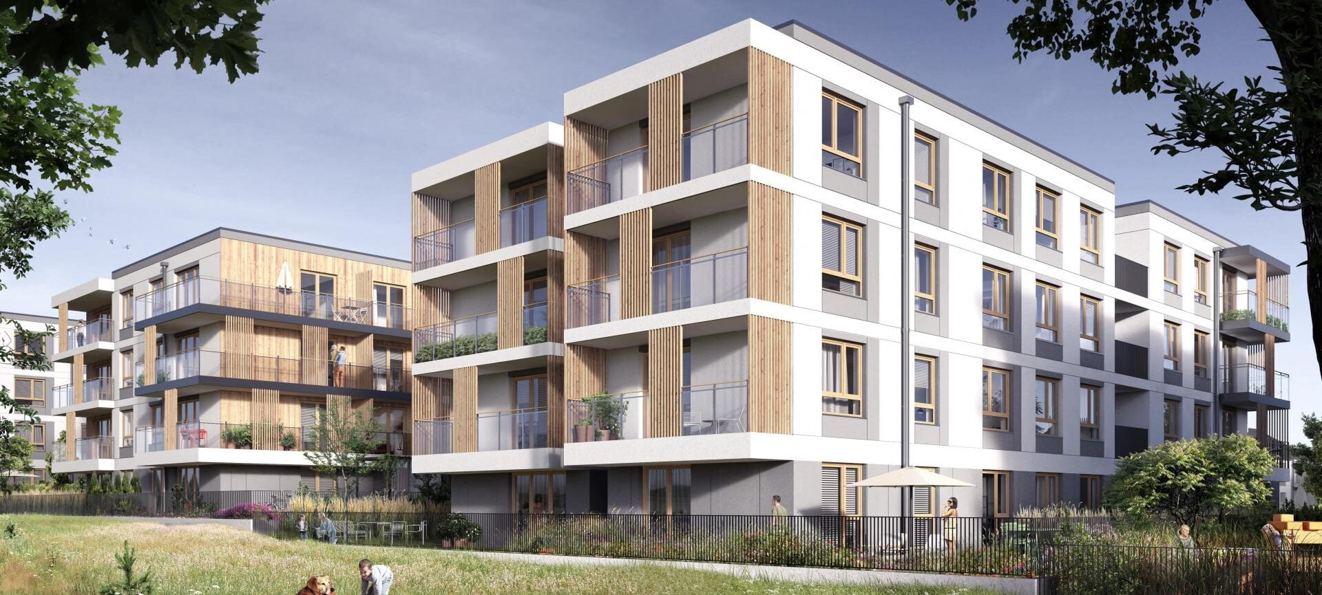 Projekt Polne Kwiaty