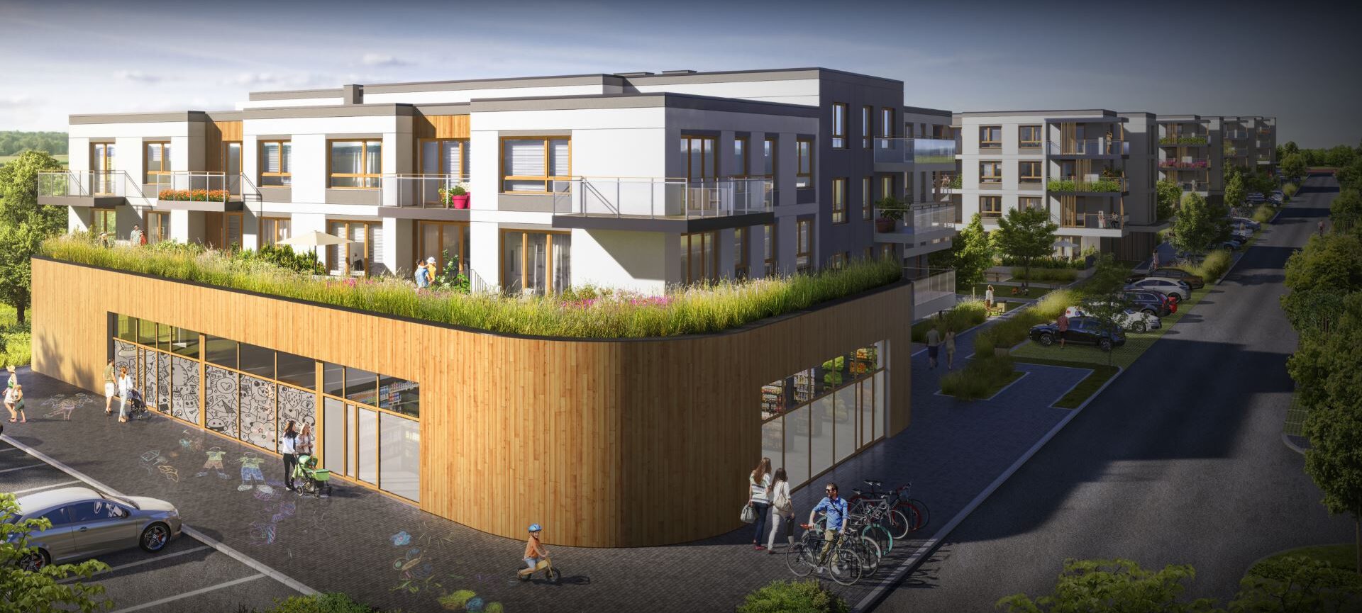 Projekt Polne Kwiaty