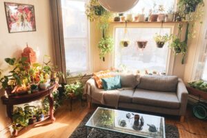 darowizna nieruchomości