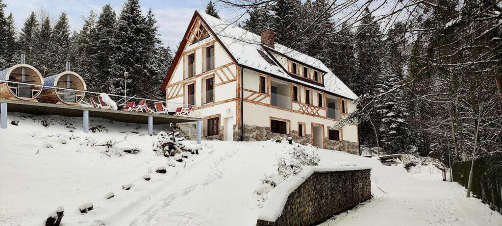 Wizualizacja - Apartamenty Czarny Potok 61