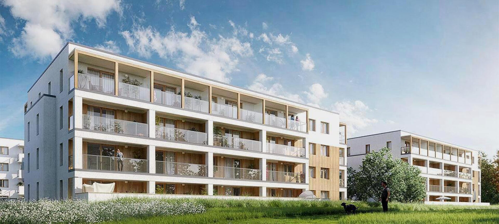 Osiedle Jemiołuszki Orion