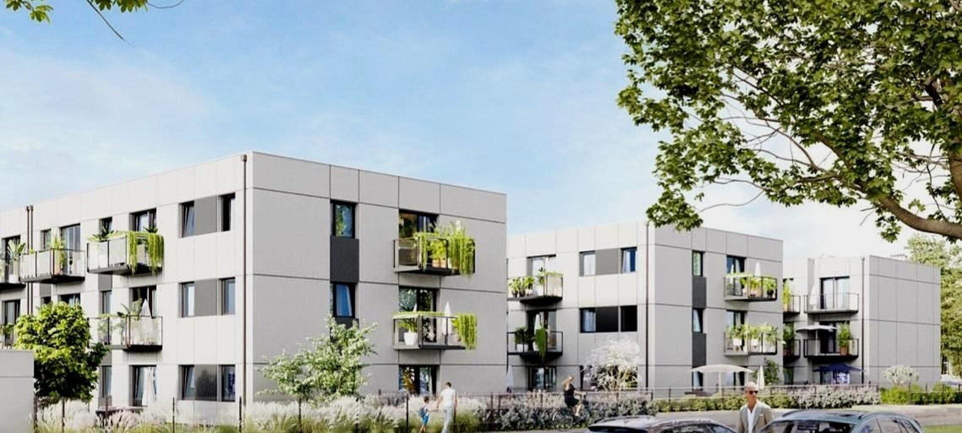 Złotniki Słoneczna