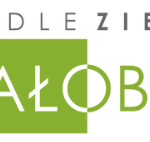 Global Construction Services