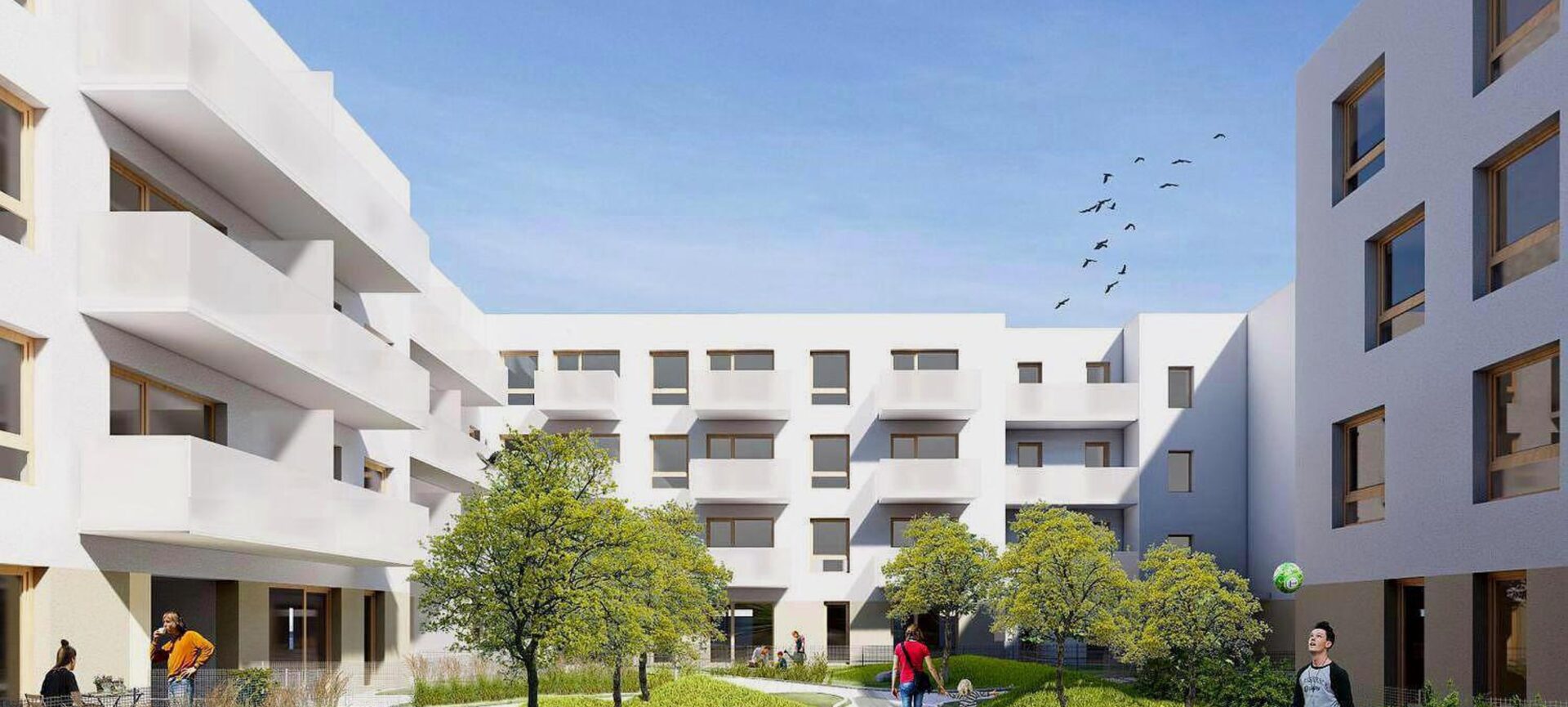 Grunwald Między Drzewami