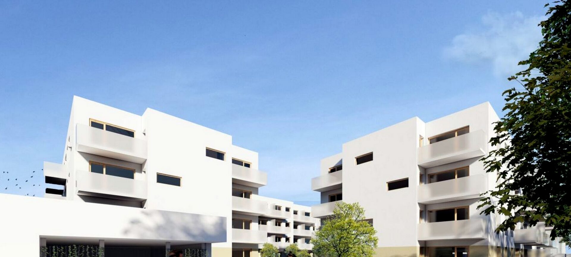 Grunwald Między Drzewami