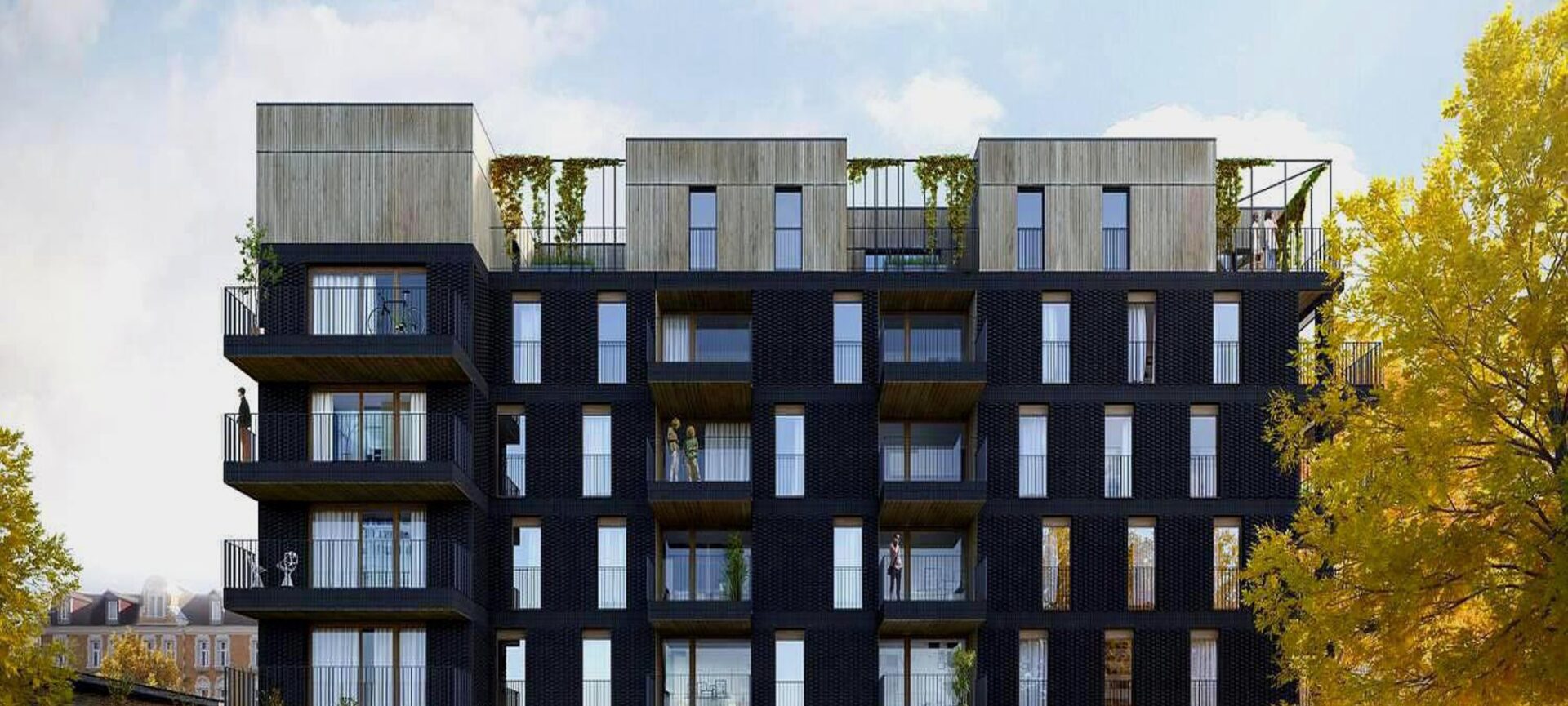 Apartamenty Zygmunta