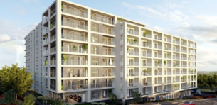 Perspektywa Czechów