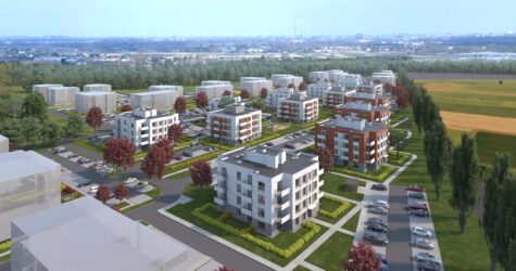 Zielone Zamienie IX