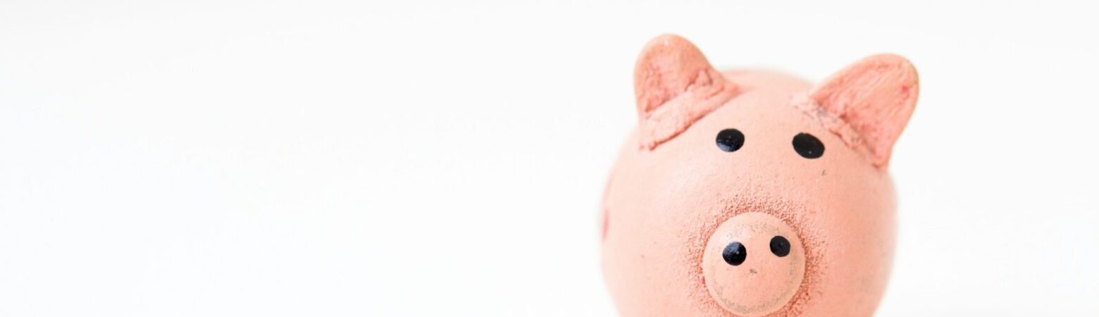 Kredyt na Start decyzja bedzie w grudniu