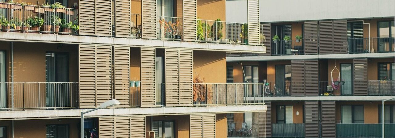 Mieszkania kupione od dewelopera są większe niż używane